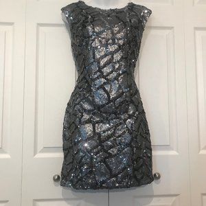 Silver Gray Arden B Sequin Dress.